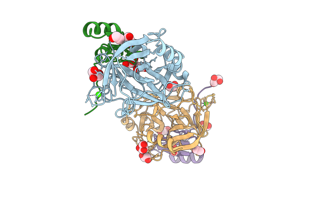 4B2B image