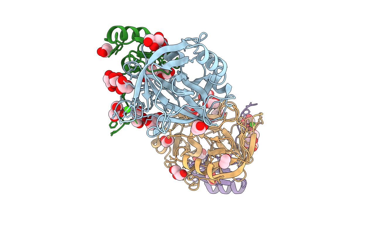4B2C image