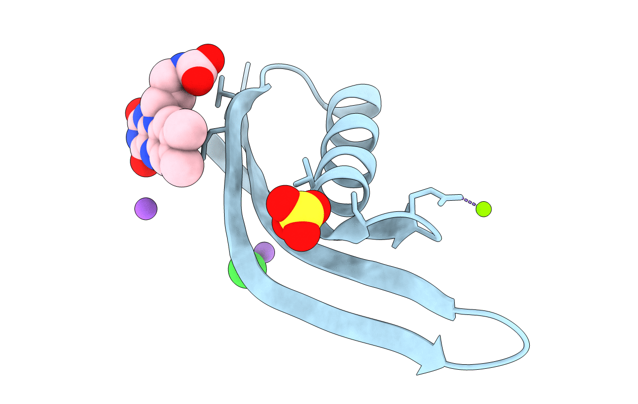 4B2H image