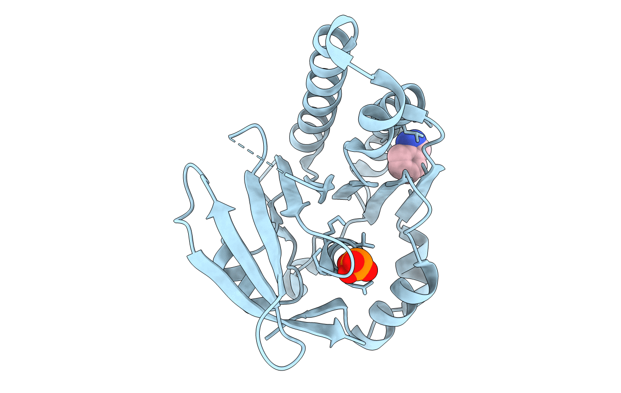 4B2I image