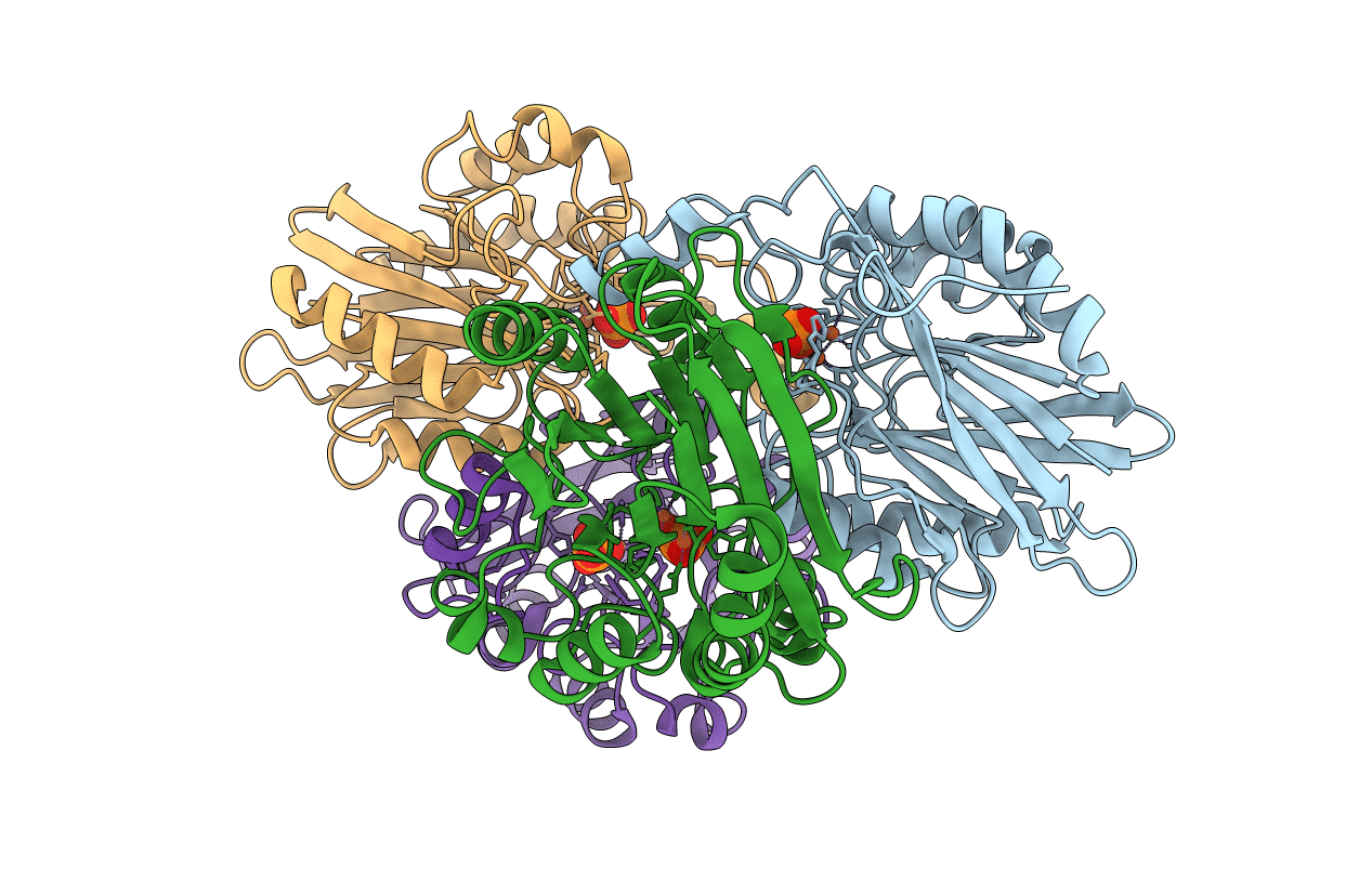 4B2O image