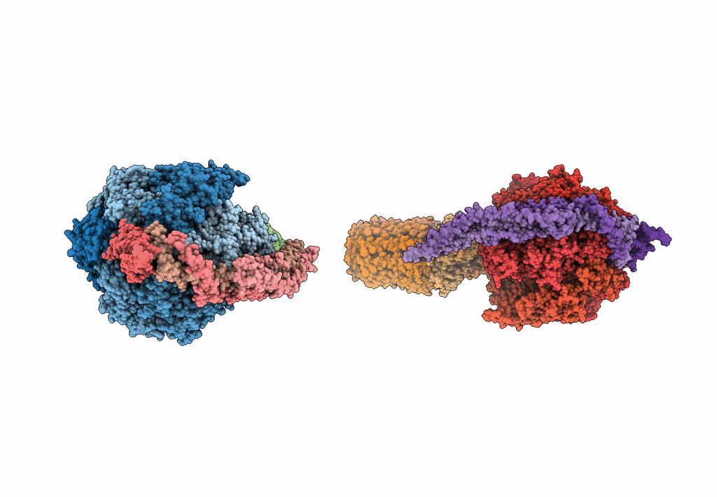 4B2Q image