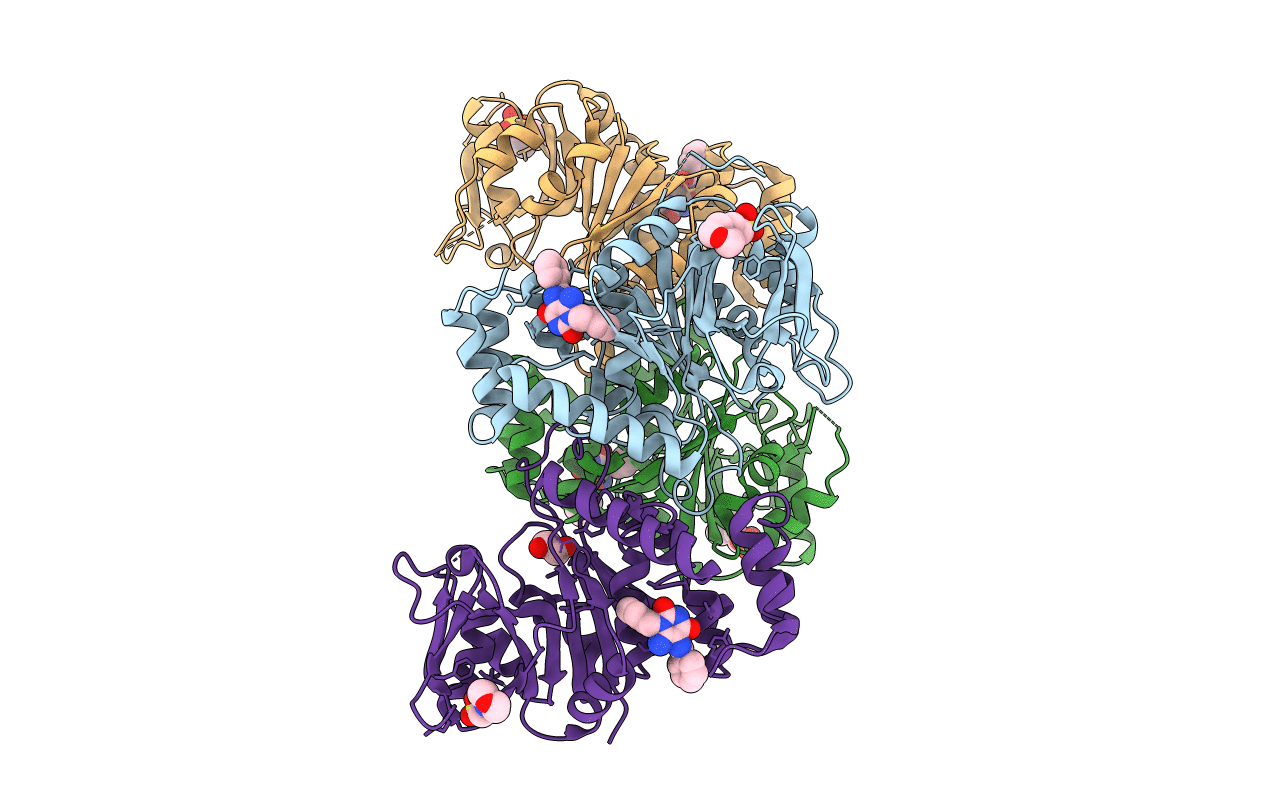 4B2W image