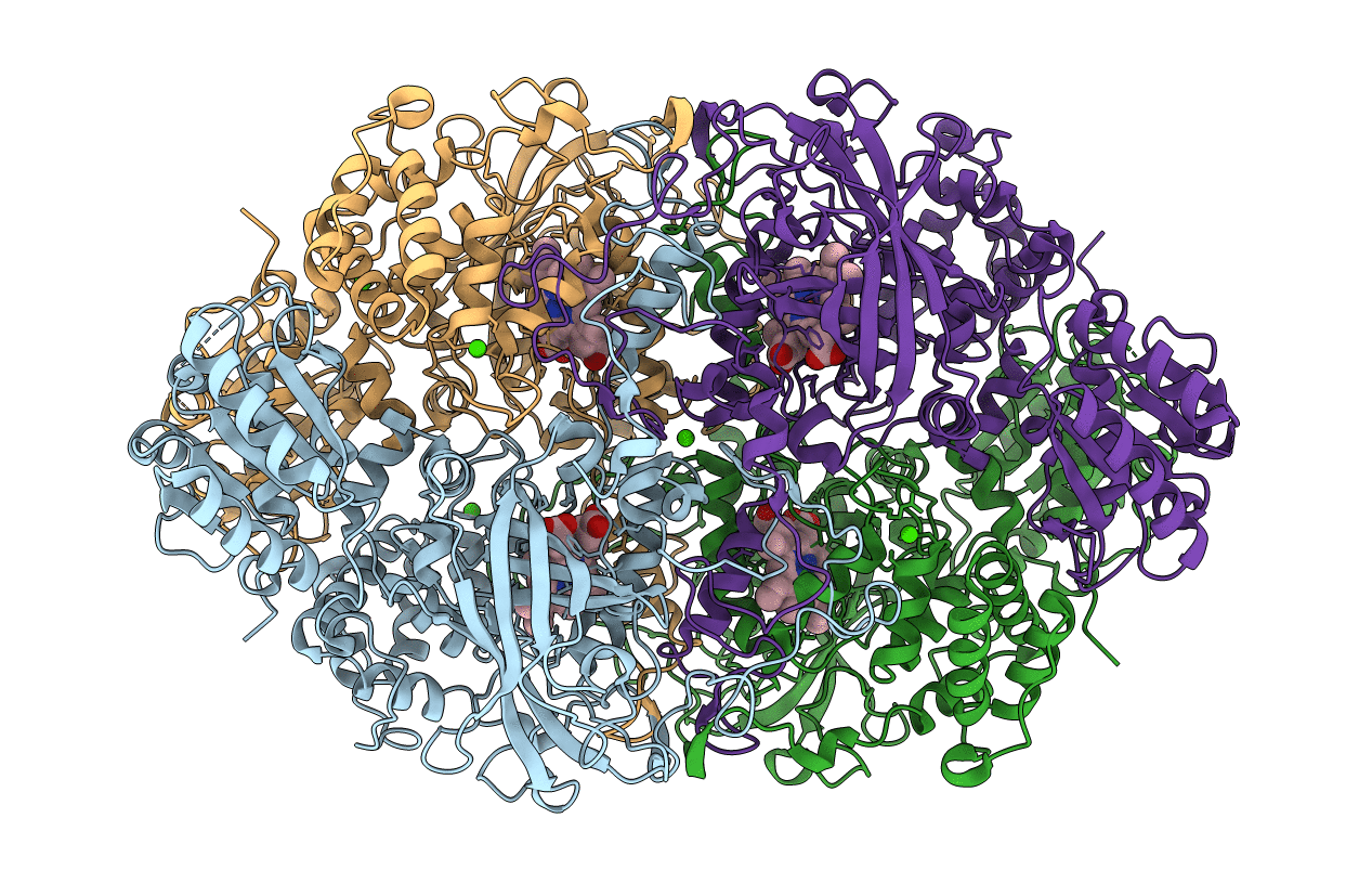 4B2Y image
