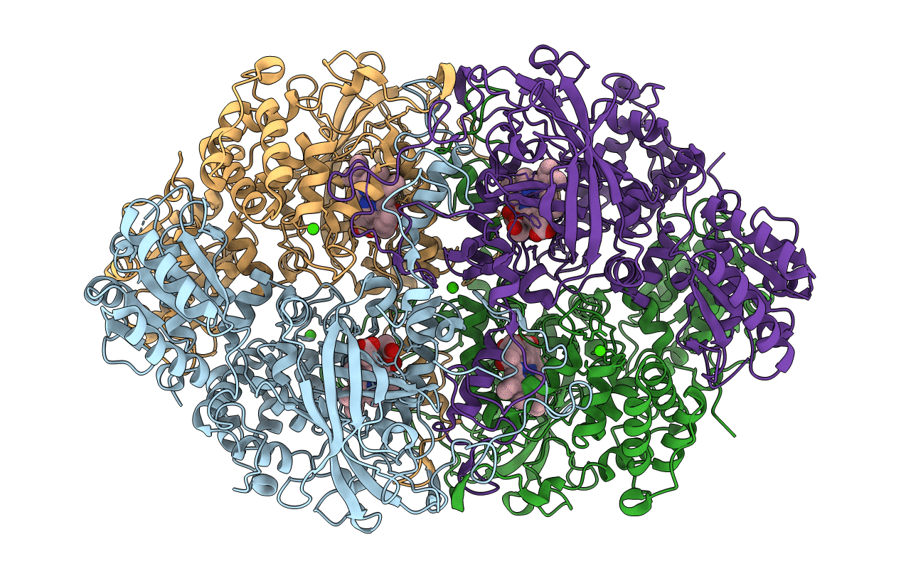 4B31 image