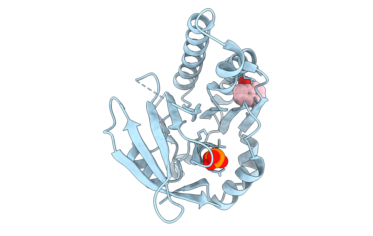 4B33 image