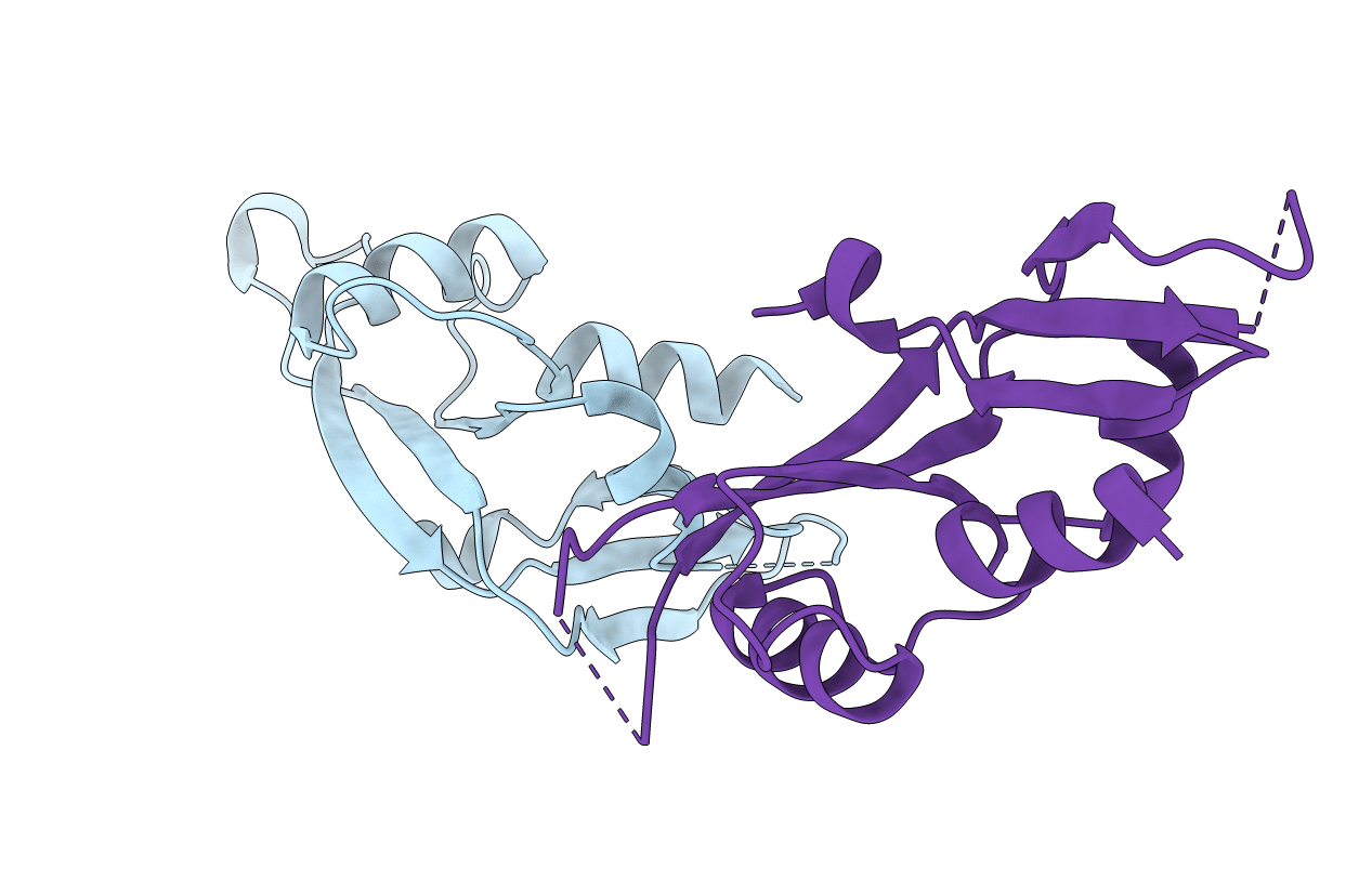 4B36 image