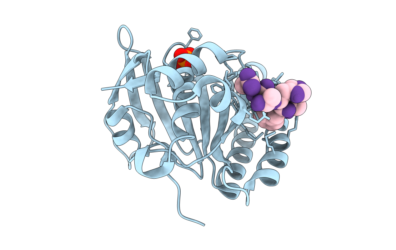 4B3B image