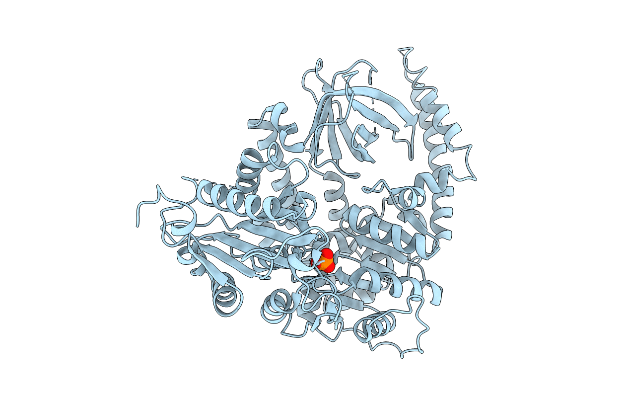 4B3F image