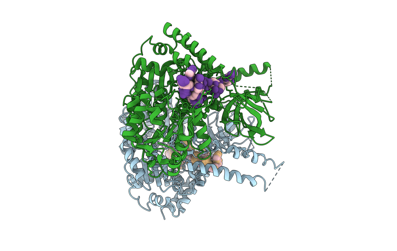 4B3G image