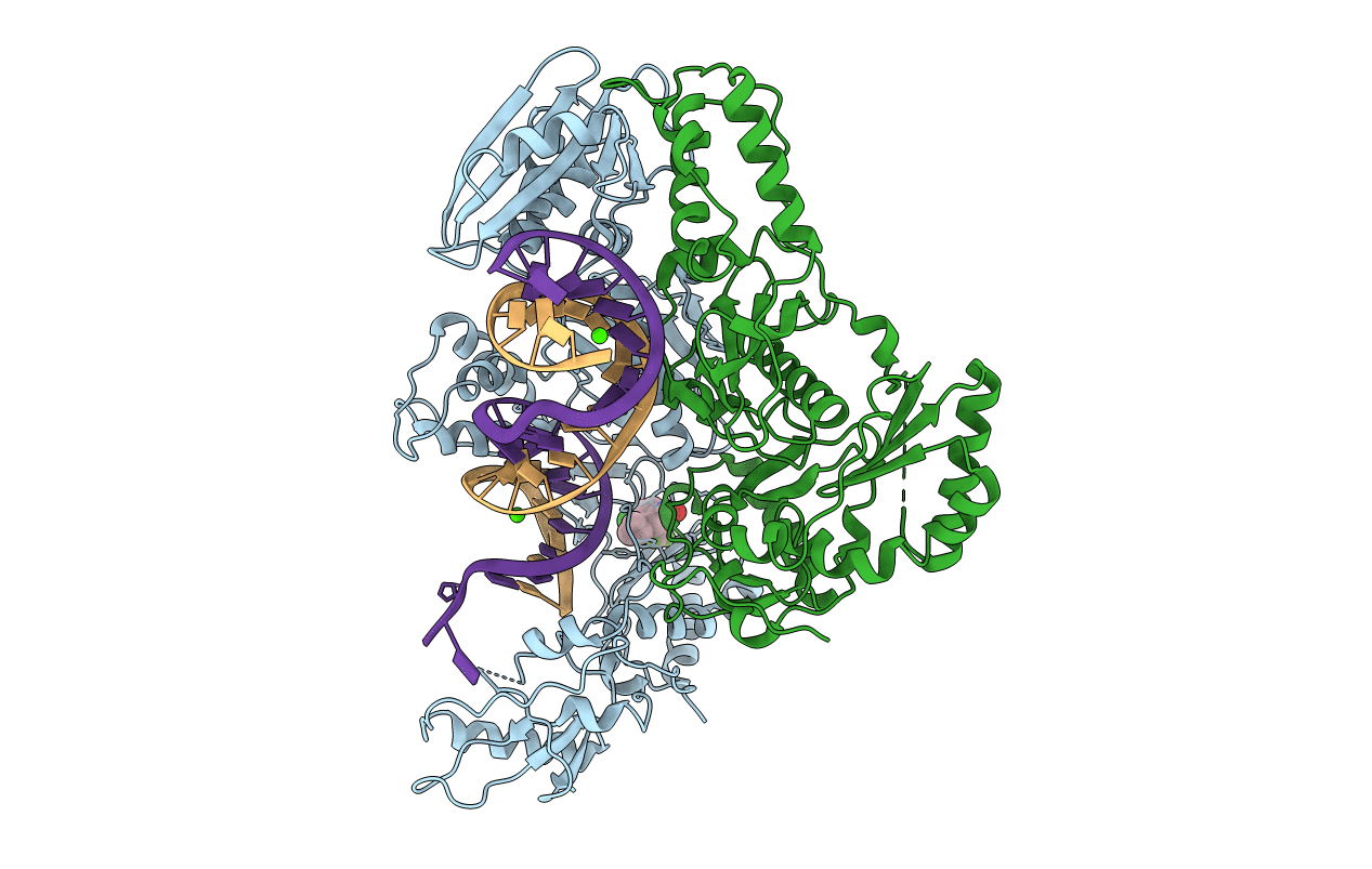 4B3O image