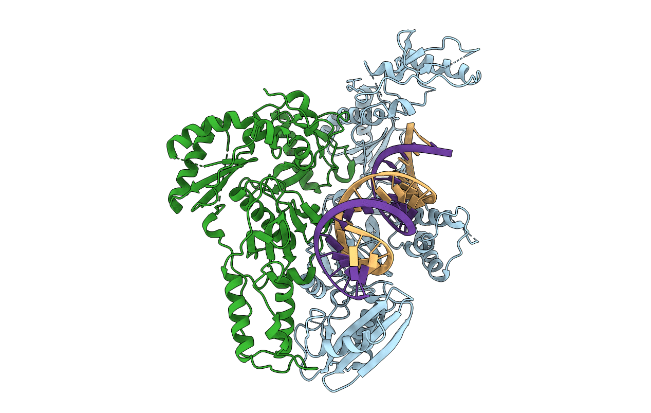 4B3P image
