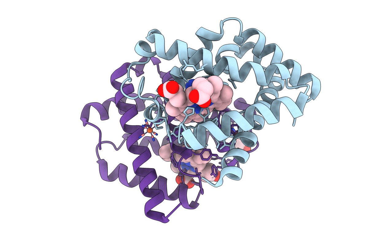 4B3W image
