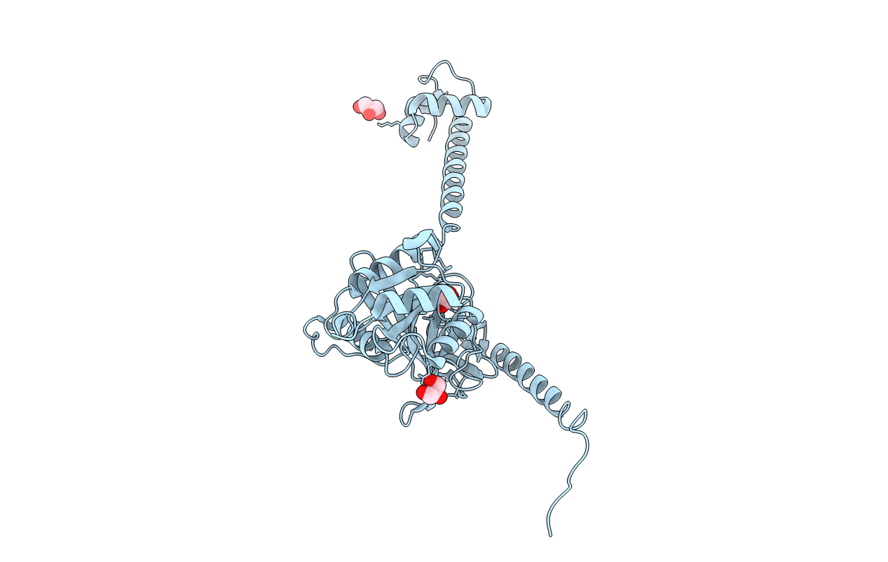 4B3X image