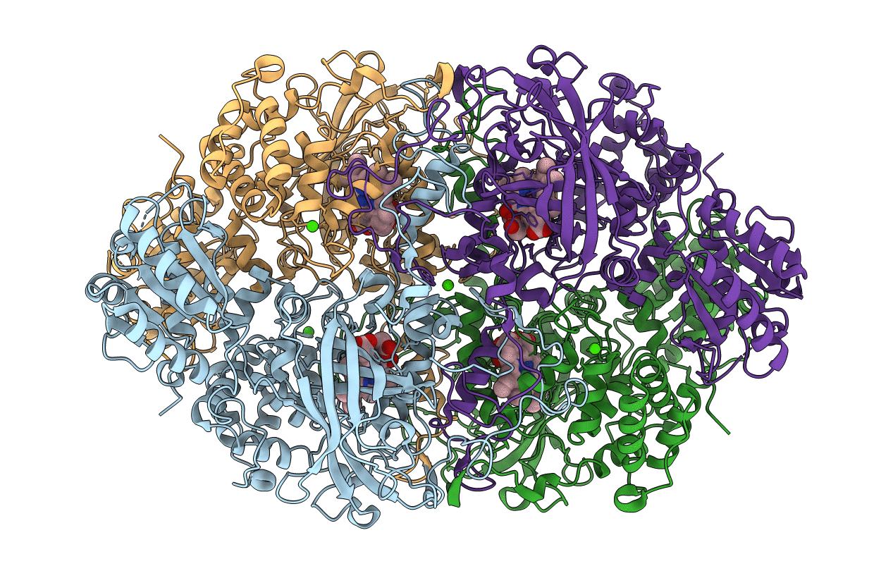 4B40 image