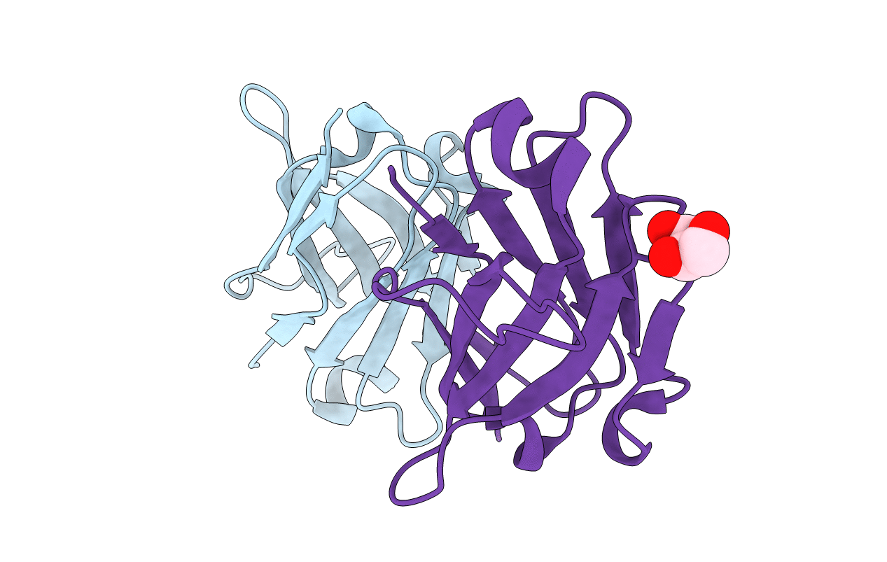 4B41 image
