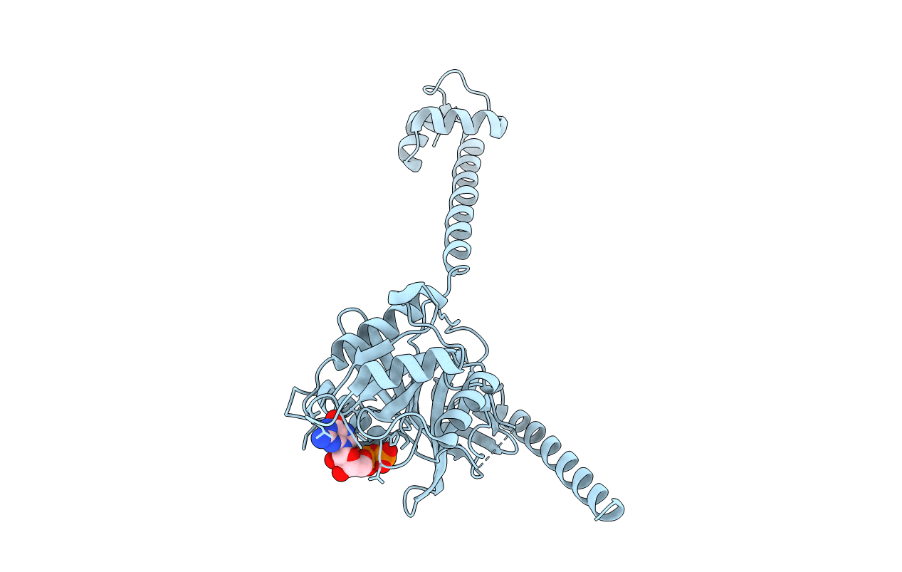 4B44 image