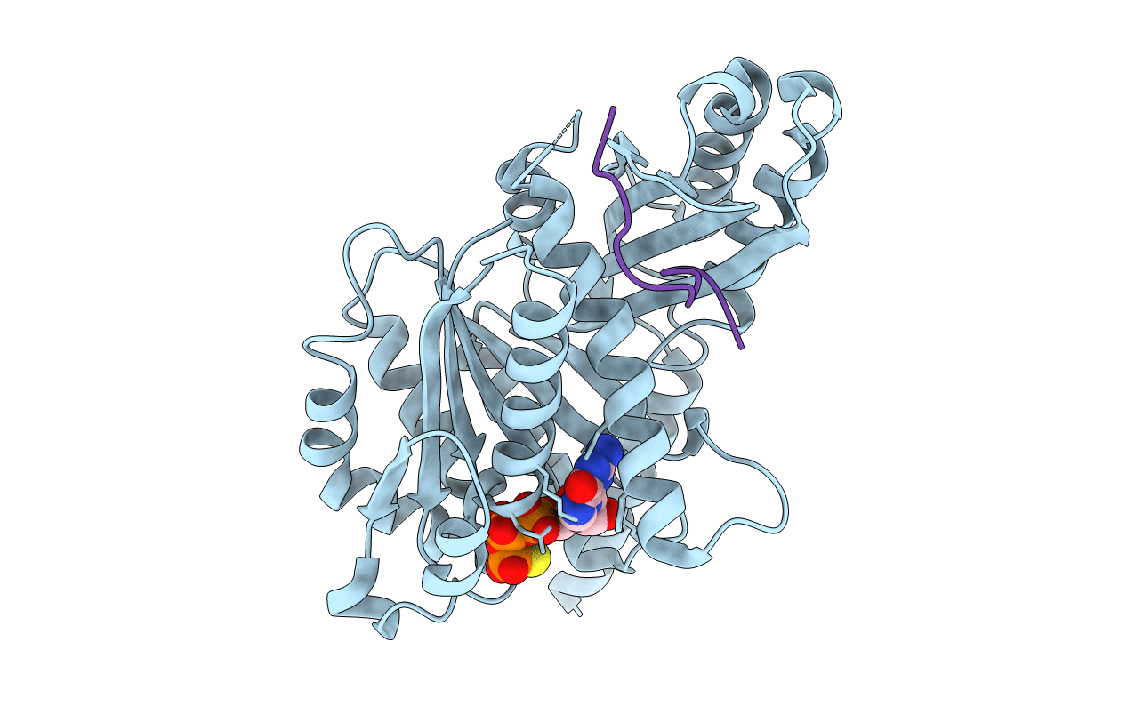 4B45 image