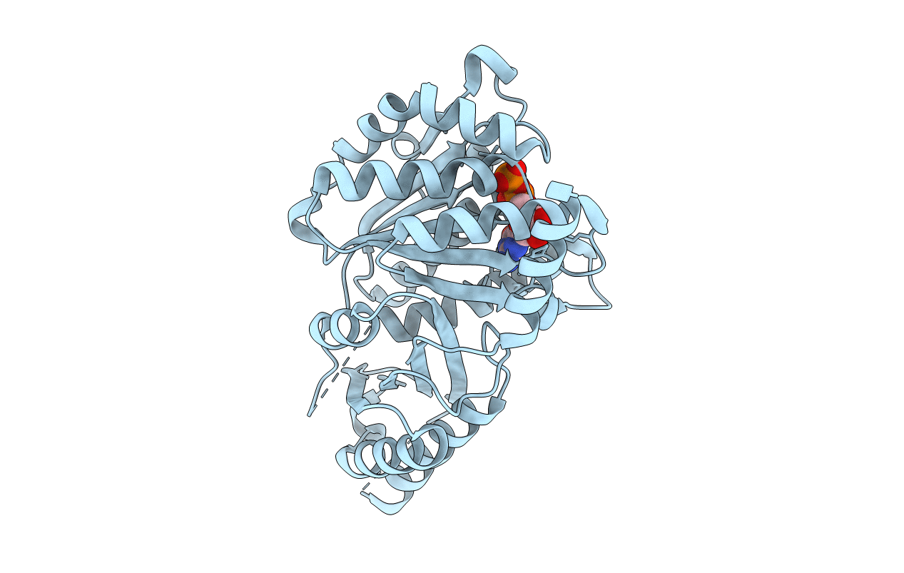 4B46 image