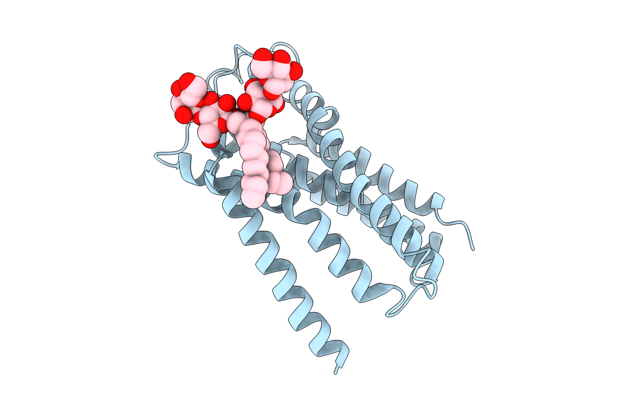 4B4A image