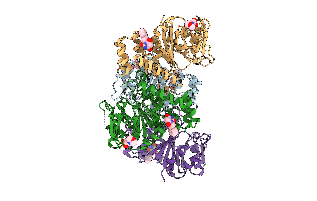 4B4B image