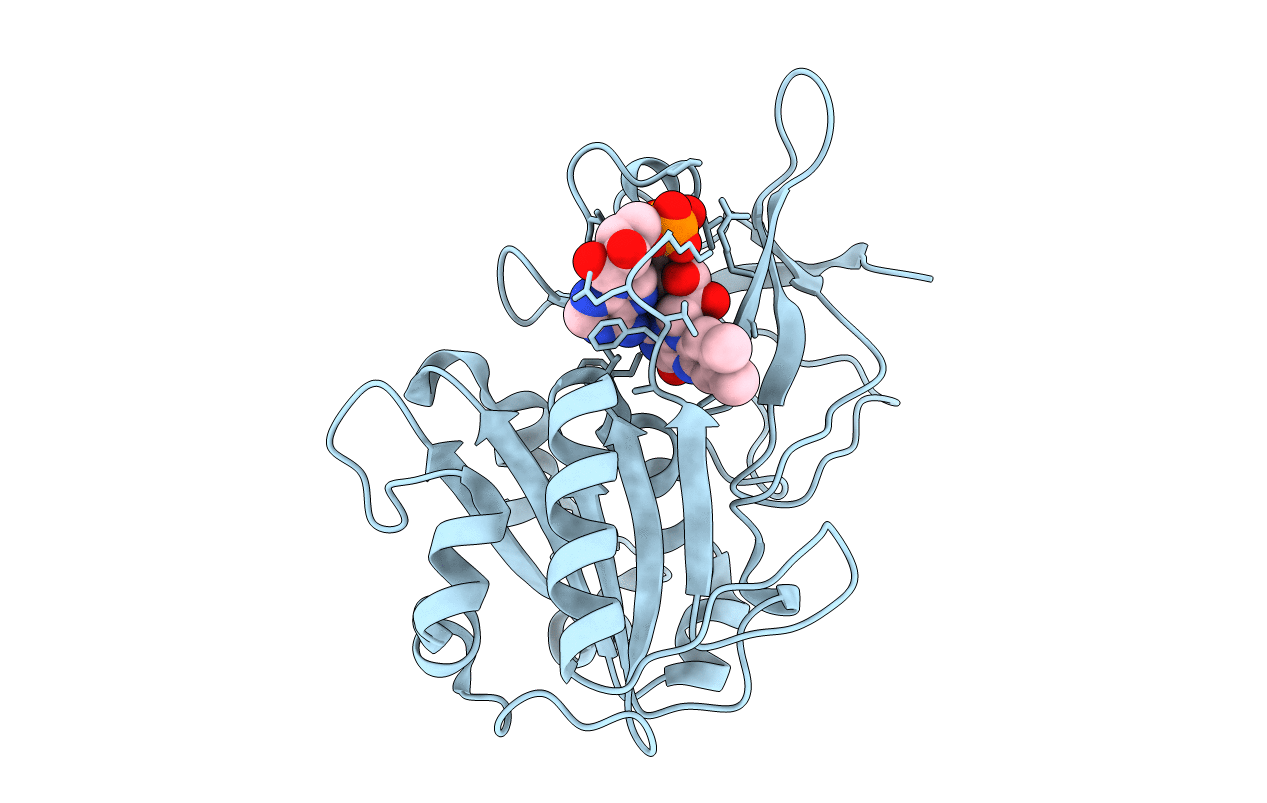 4B4D image