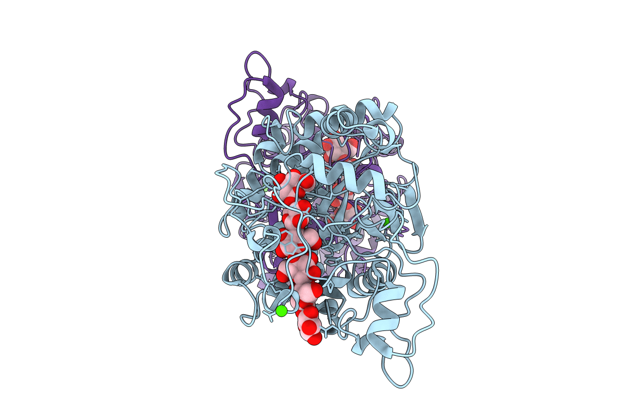 4B4F image