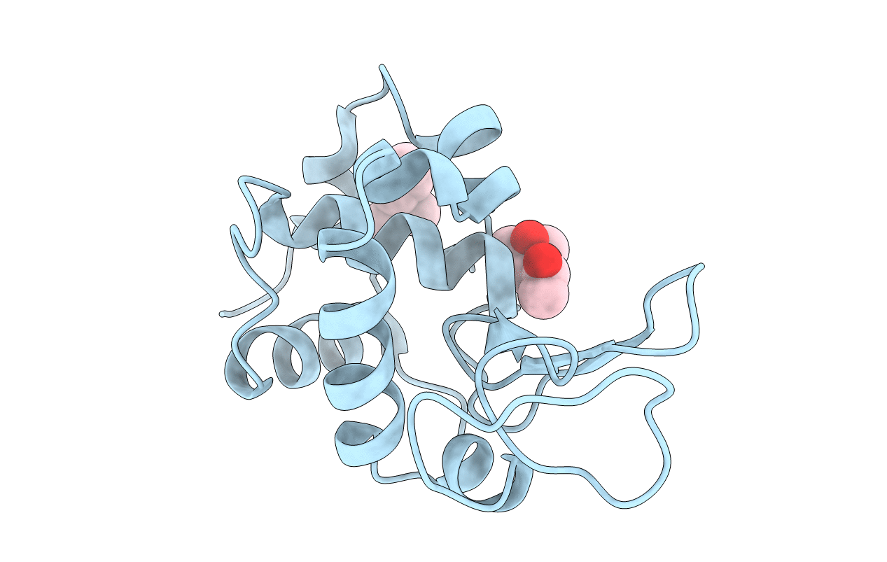 4B4I image