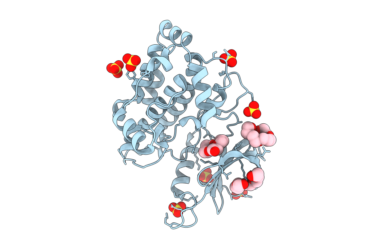 4B4L image