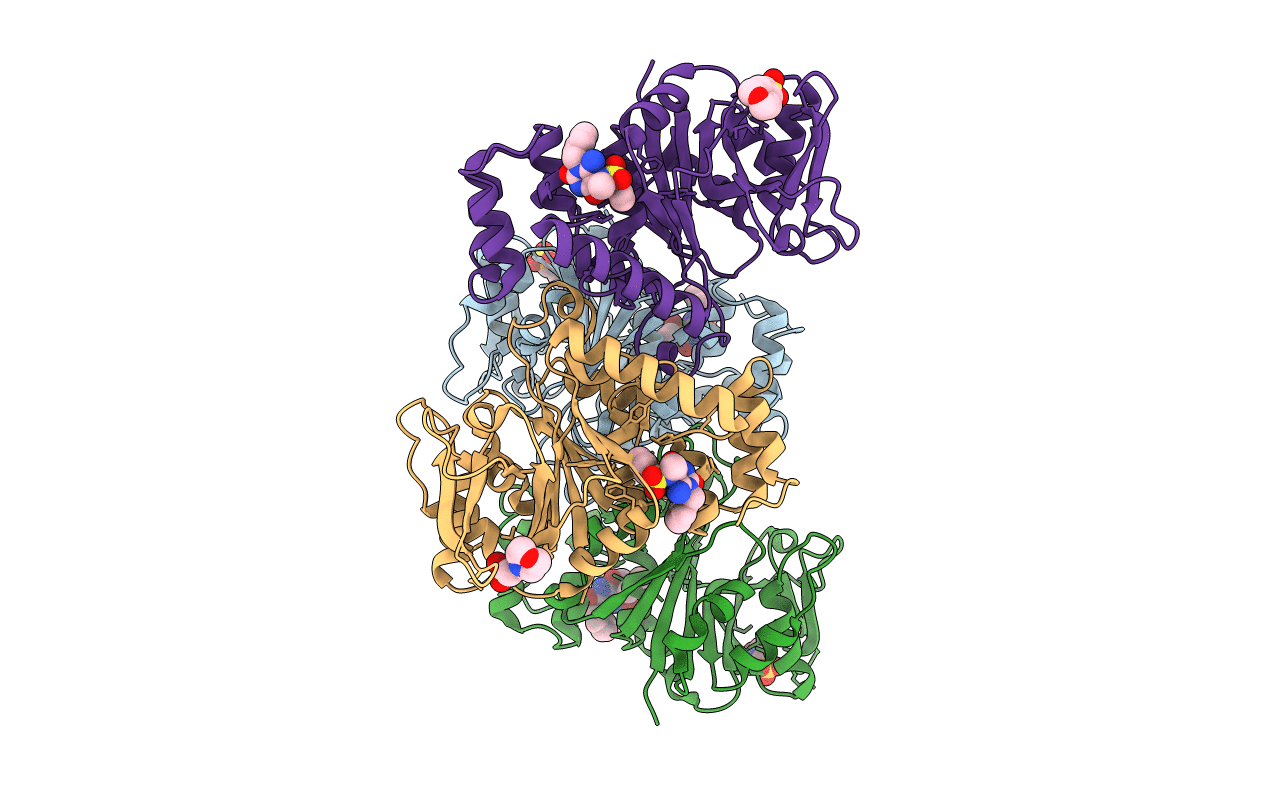 4B4M image