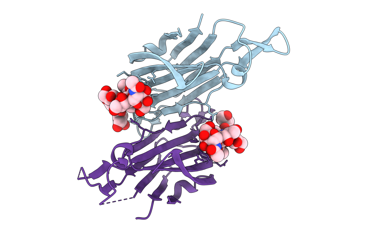 4B4Q image