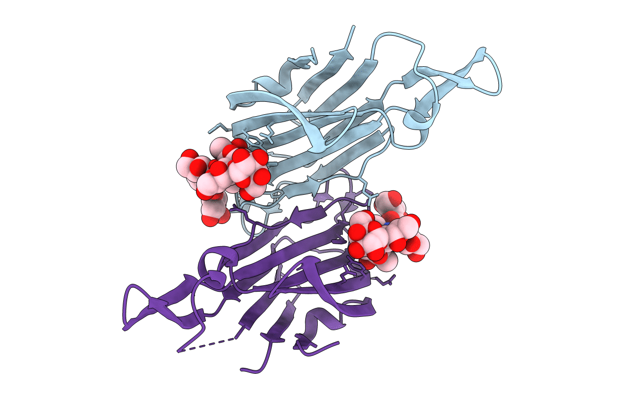 4B4R image