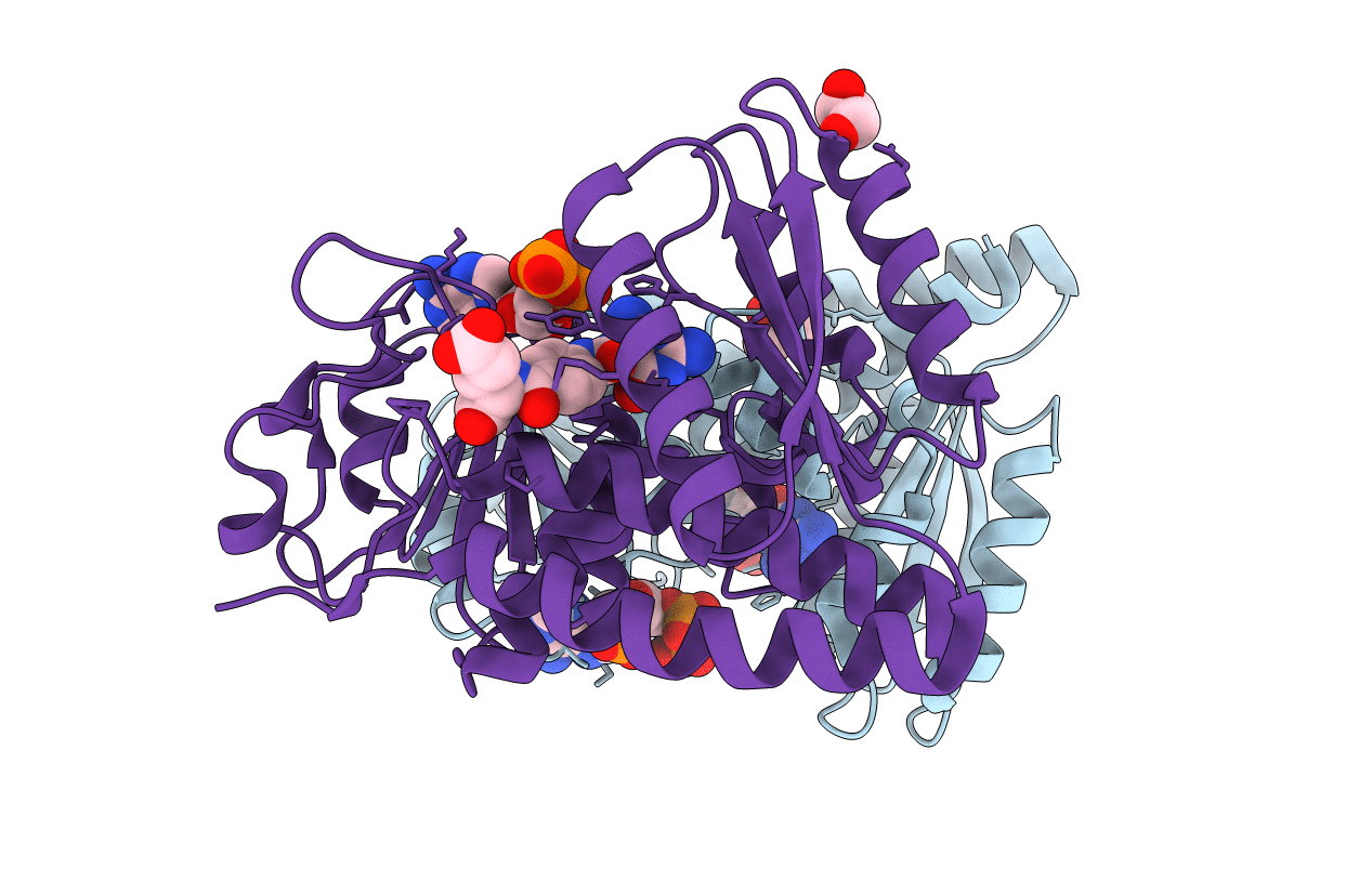4B4W image