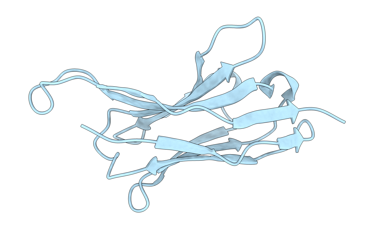 4B50 image