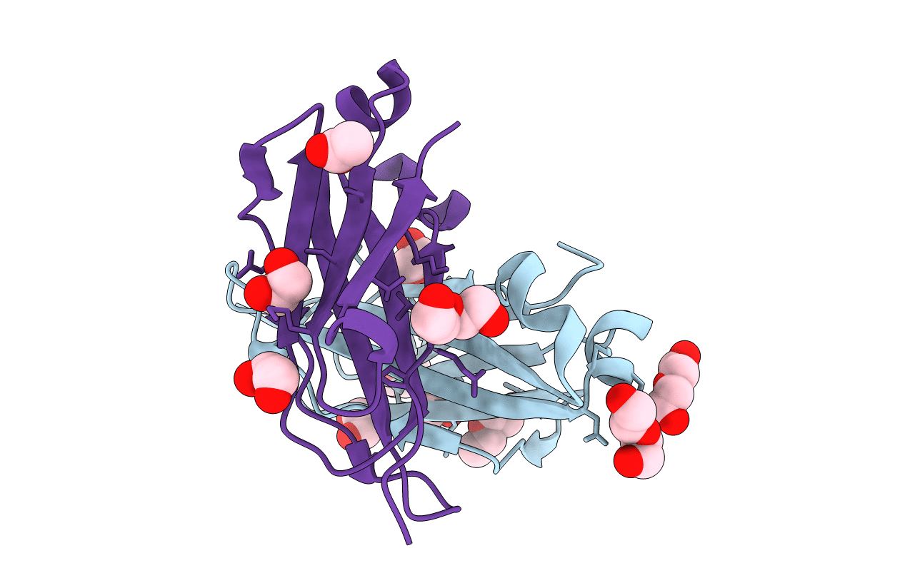 4B53 image