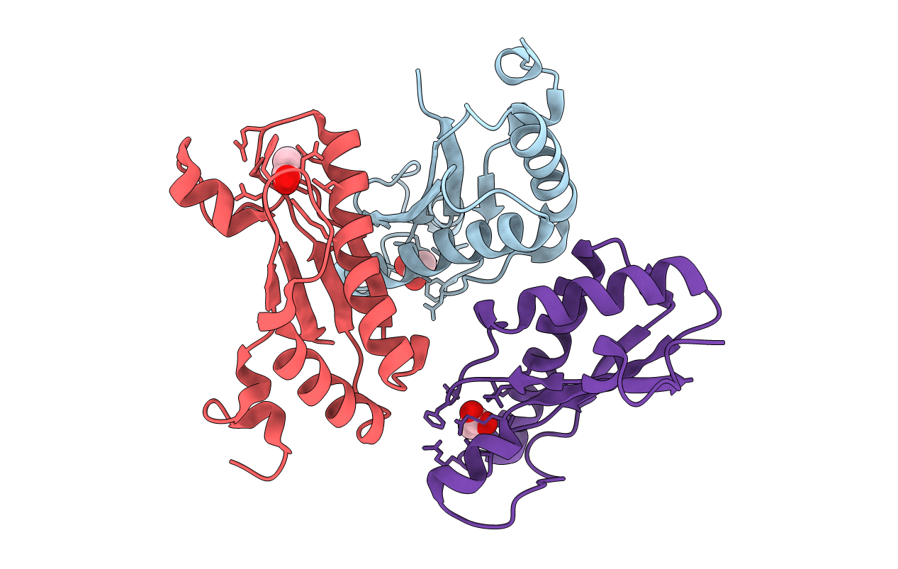 4B5C image