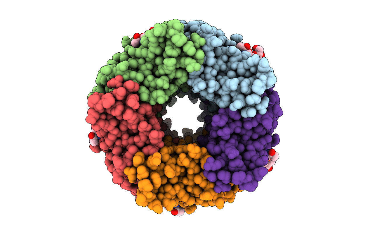 4B5D image