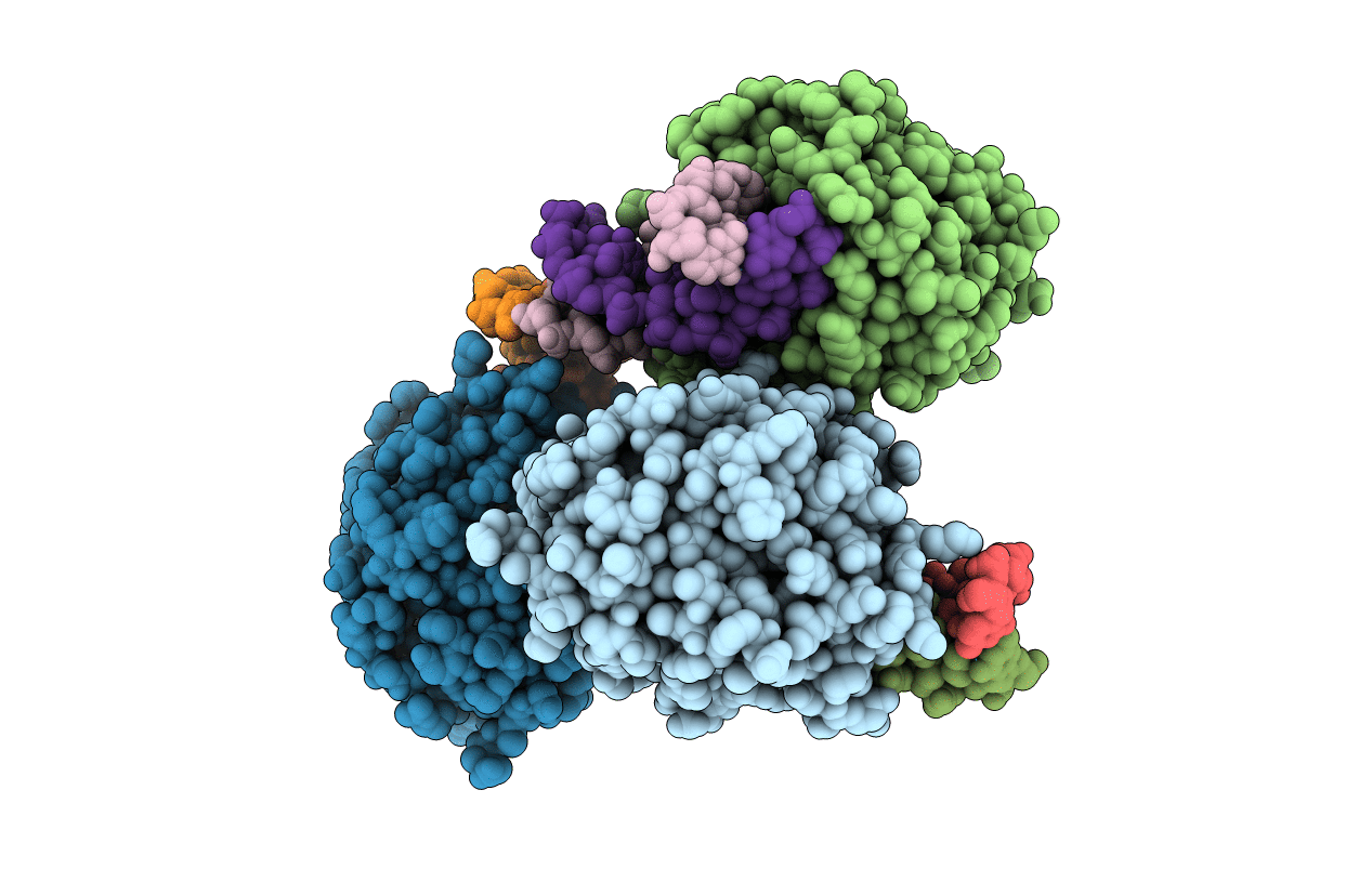 4B5G image