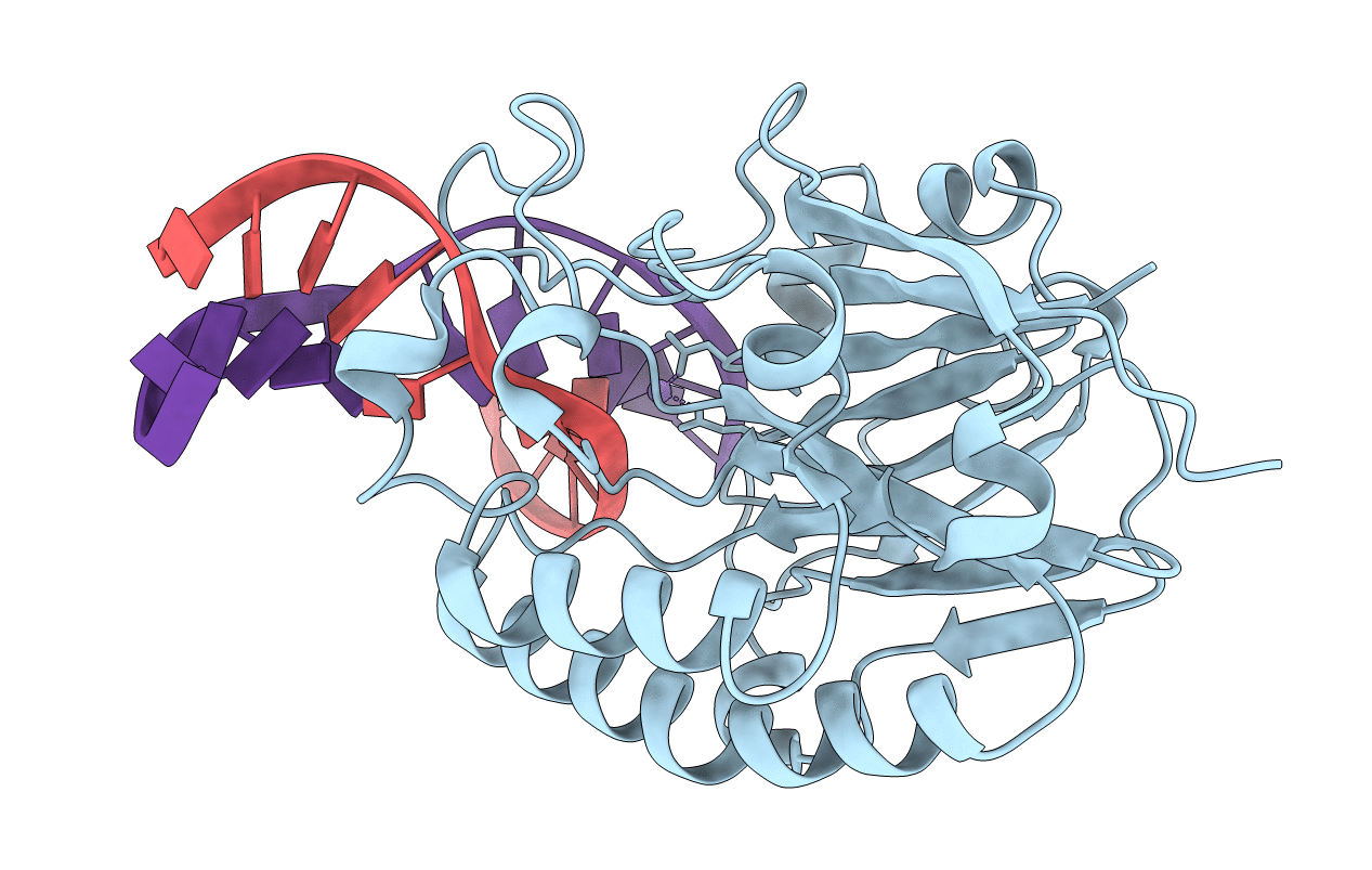 4B5H image