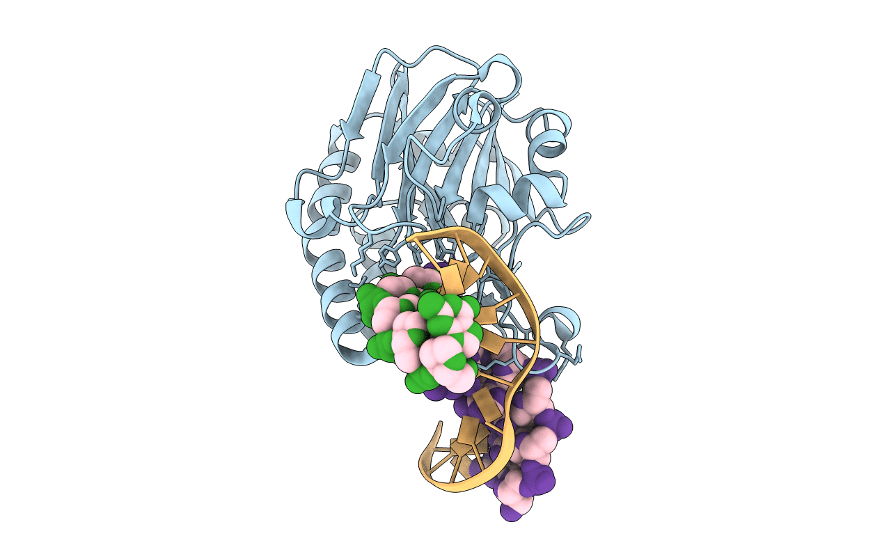 4B5I image