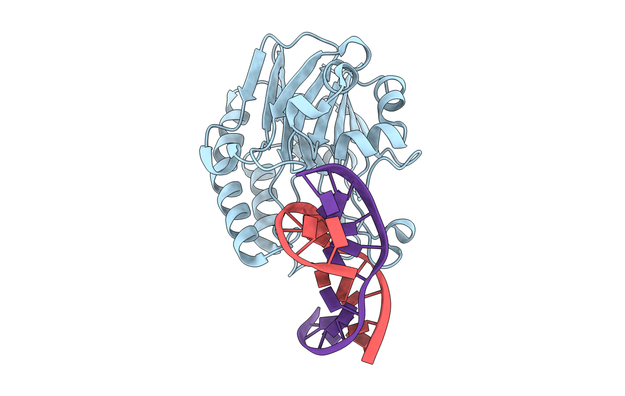 4B5J image