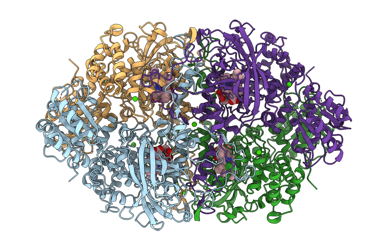 4B5K image