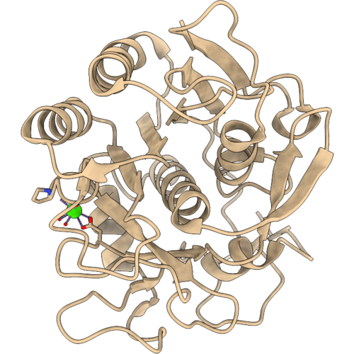 4B5L image
