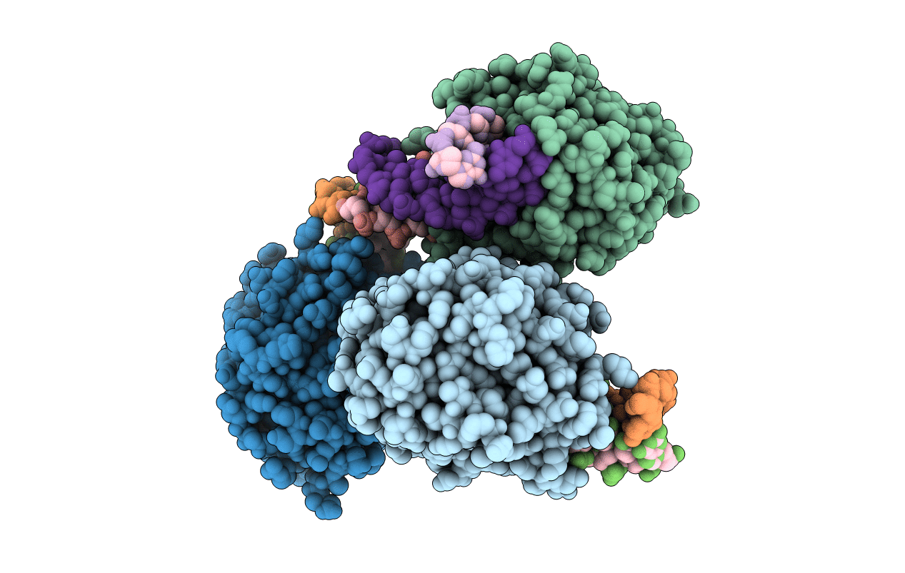 4B5M image