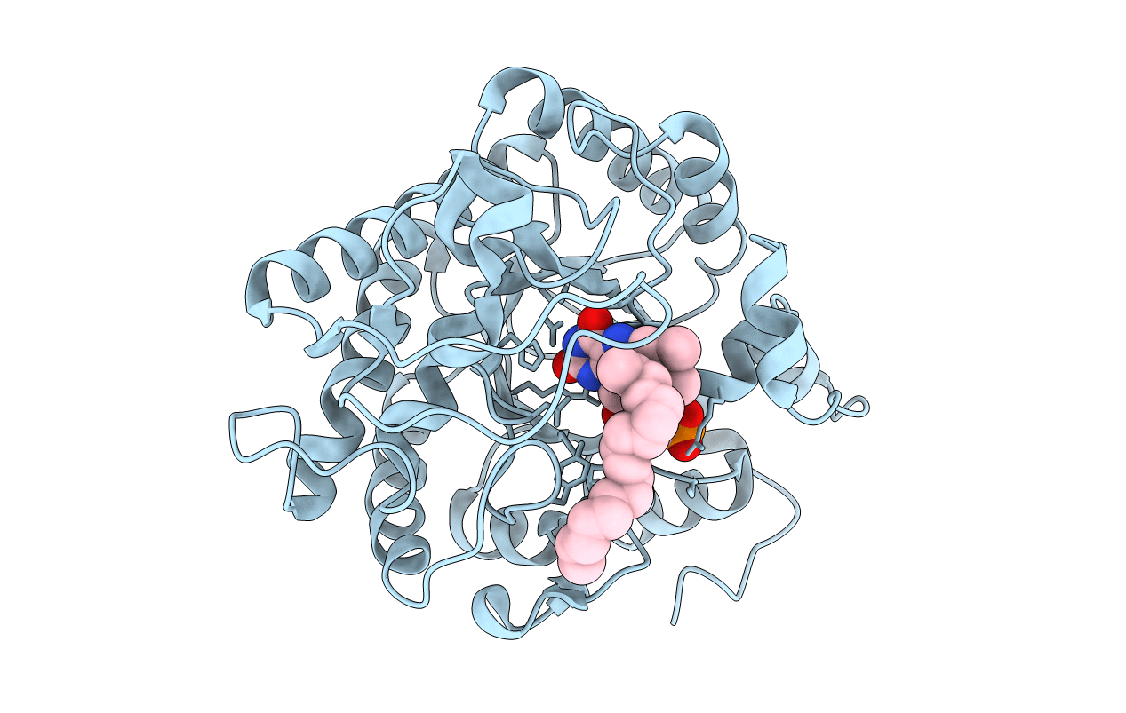 4B5N image