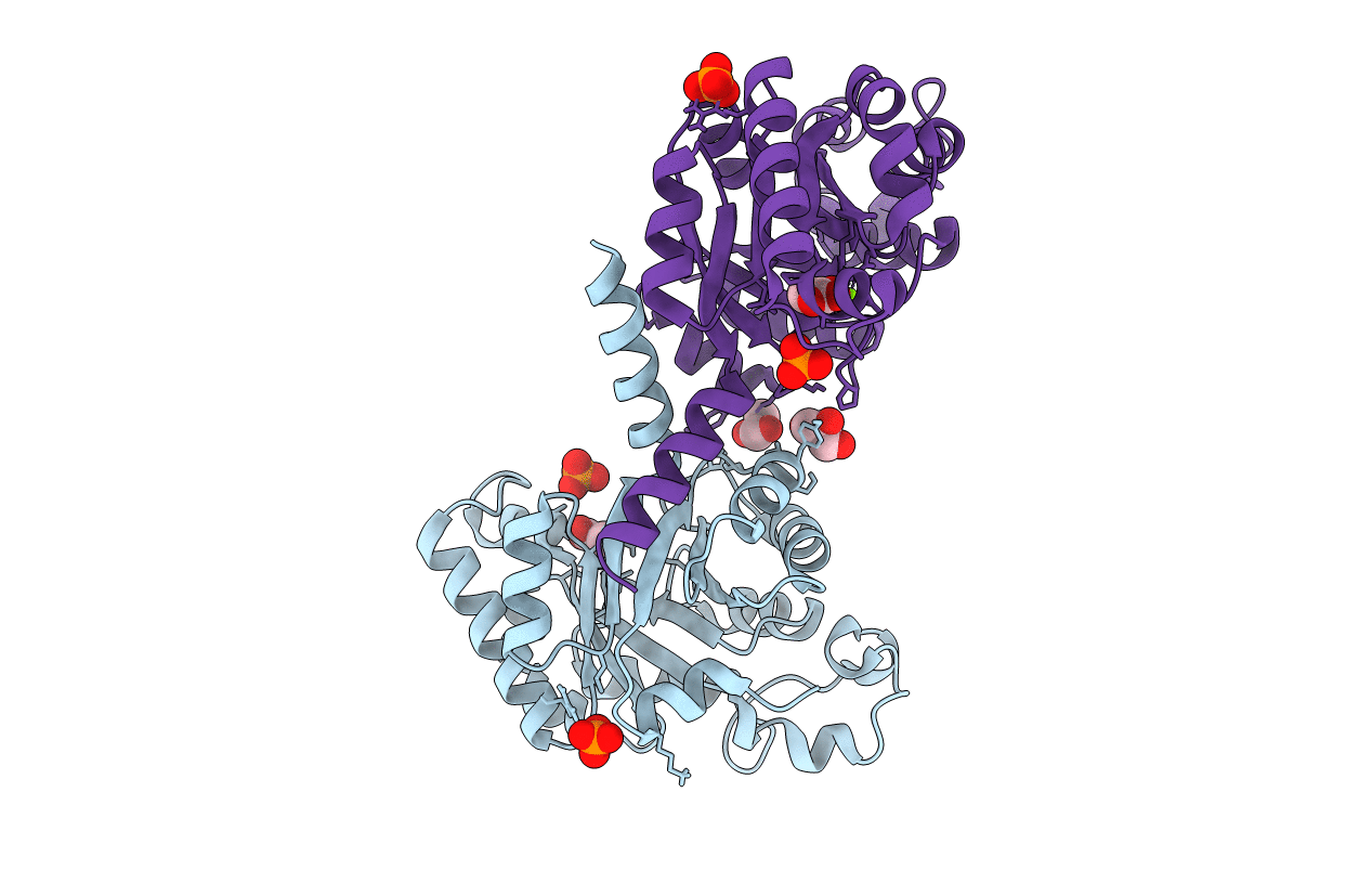 4B5S image