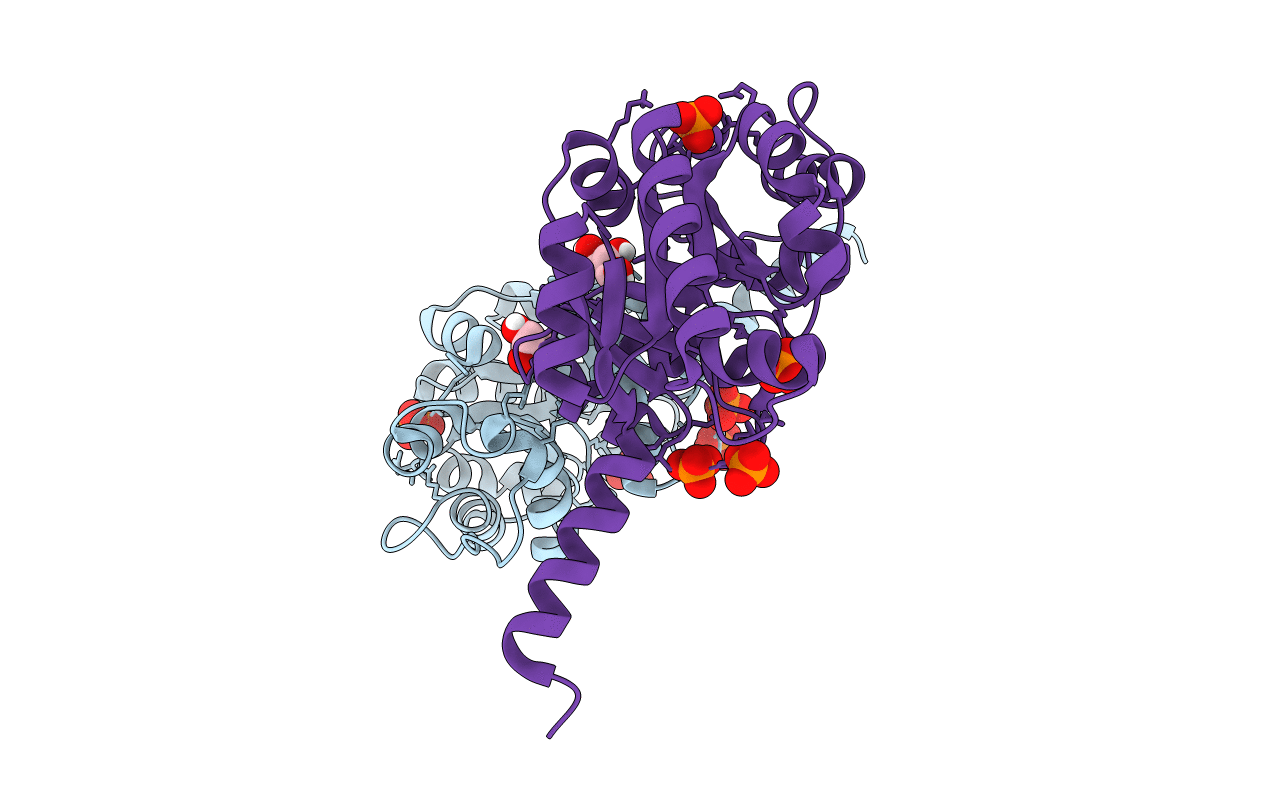 4B5X image