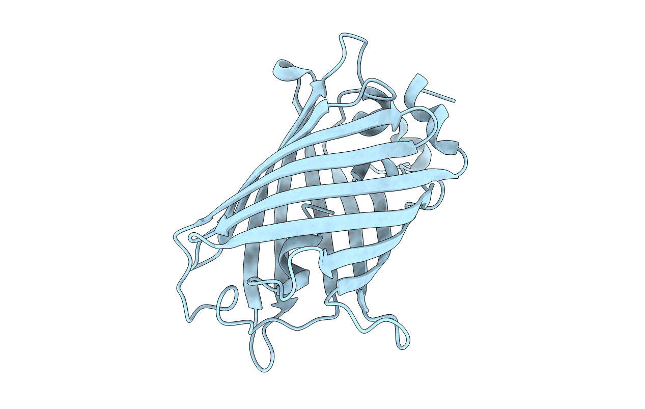 4B5Y image