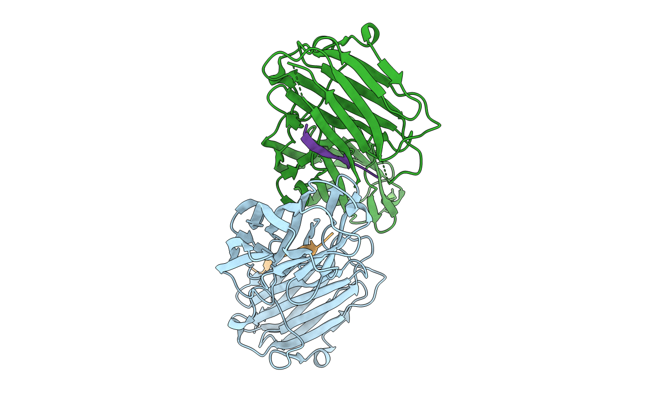 4B60 image