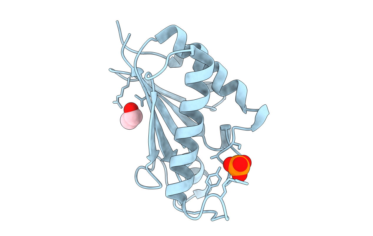 4B62 image
